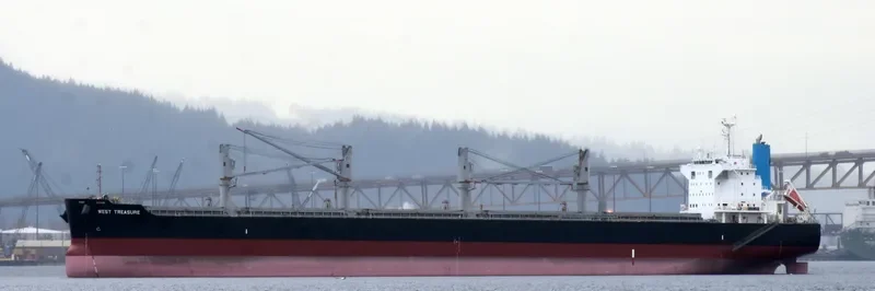 WEST TREASURE Bulk Carrier IMO 9691620 photo 2