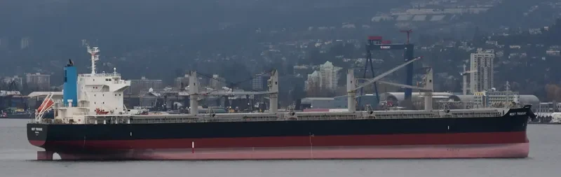 WEST TREASURE Bulk Carrier IMO 9691620 photo 3