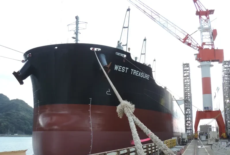 WEST TREASURE Bulk Carrier IMO 9691620 photo 4
