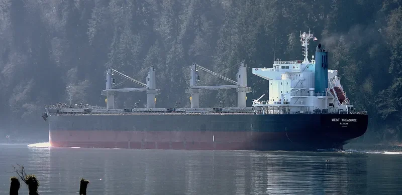 WEST TREASURE Bulk Carrier IMO 9691620 photo 7