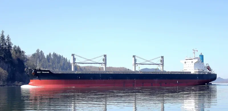 WEST TREASURE Bulk Carrier IMO 9691620 photo 8