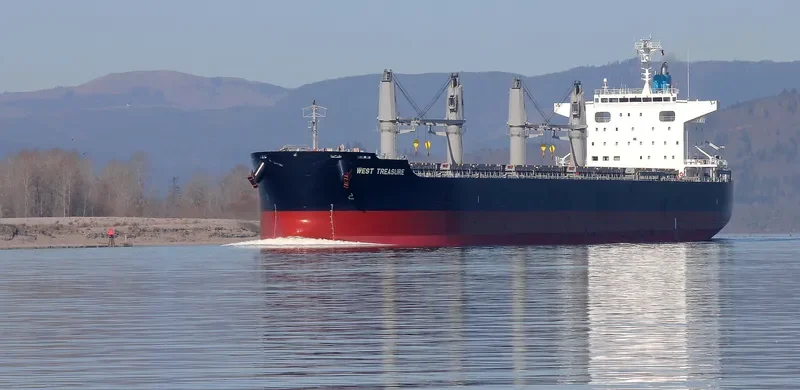 WEST TREASURE Bulk Carrier IMO 9691620 photo 9