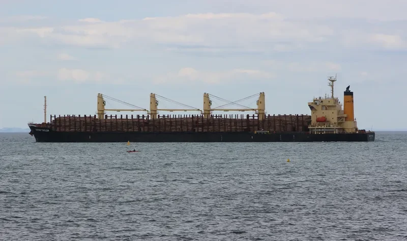 UNION TAYLOR Bulk Carrier IMO 9691644