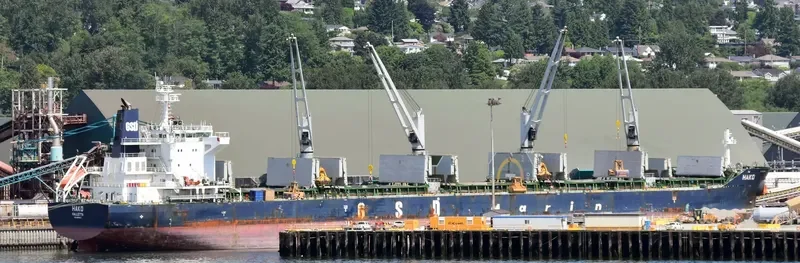HAKO Bulk Carrier IMO 9691814