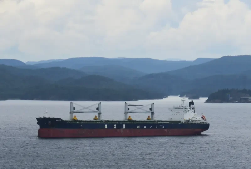 HAKO Bulk Carrier IMO 9691814 photo 2