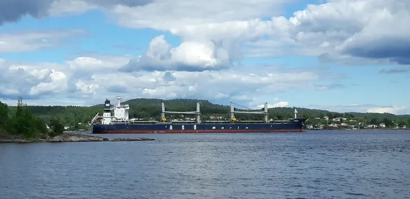 HAKO Bulk Carrier IMO 9691814 photo 3