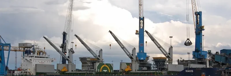 HAKO Bulk Carrier IMO 9691814 photo 4