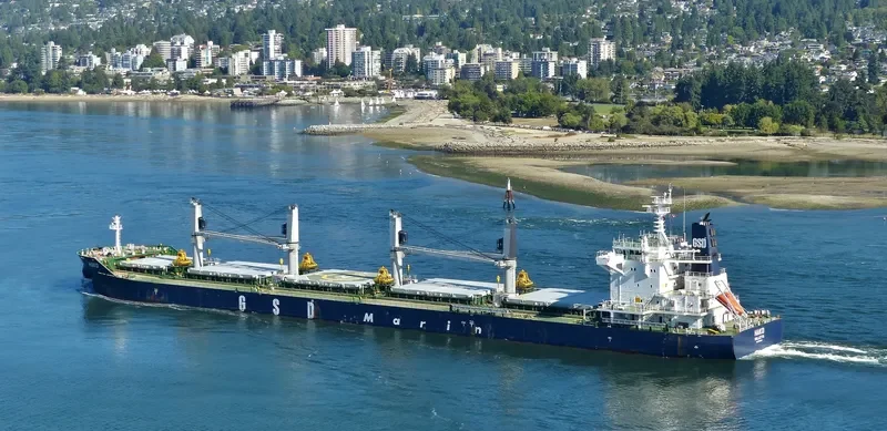 HAKO Bulk Carrier IMO 9691814 photo 7