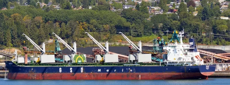 HAKO Bulk Carrier IMO 9691814 photo 8
