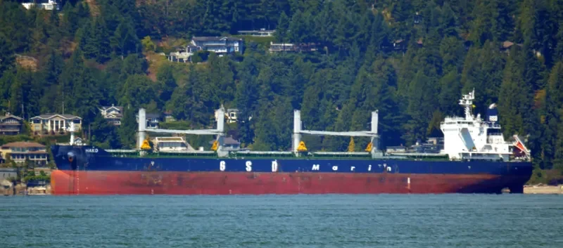 HAKO Bulk Carrier IMO 9691814 photo 9
