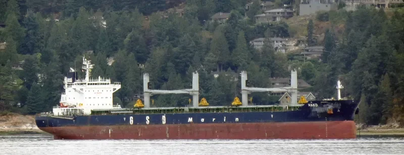 HAKO Bulk Carrier IMO 9691814 photo 10