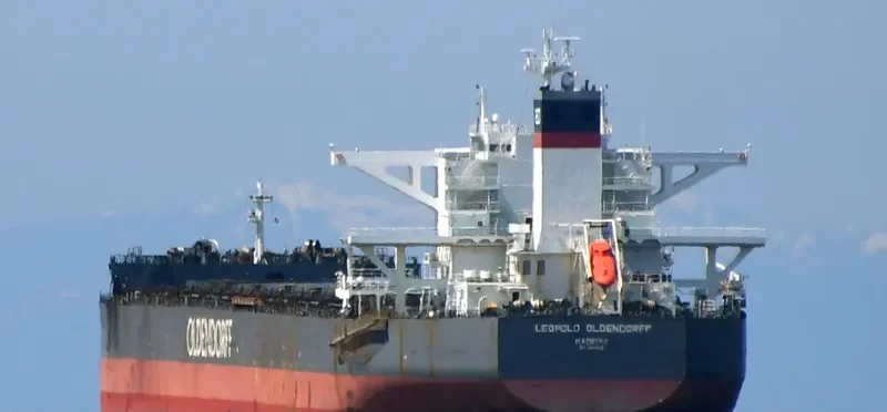 LEOPOLD OLDENDORFF Bulk Carrier IMO 9691943 photo 2