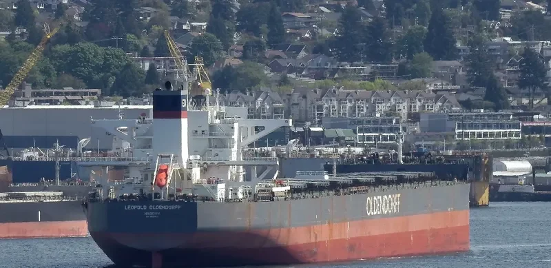 LEOPOLD OLDENDORFF Bulk Carrier IMO 9691943 photo 3