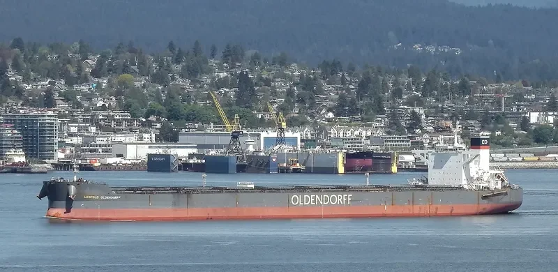 LEOPOLD OLDENDORFF Bulk Carrier IMO 9691943 photo 5