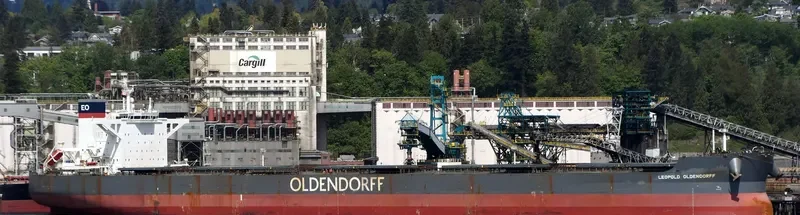 LEOPOLD OLDENDORFF Bulk Carrier IMO 9691943 photo 7