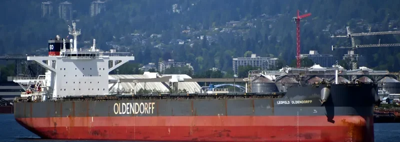 LEOPOLD OLDENDORFF Bulk Carrier IMO 9691943 photo 8