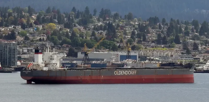 LEOPOLD OLDENDORFF Bulk Carrier IMO 9691943 photo 9