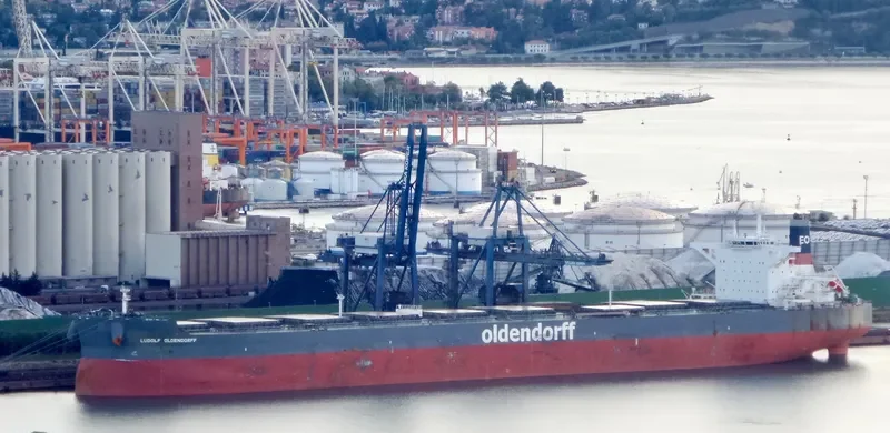 LUDOLF OLDENDORFF Bulk Carrier IMO 9691955 photo 2