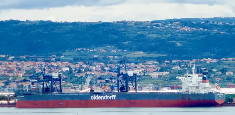 LUDOLF OLDENDORFF Bulk Carrier IMO 9691955 photo 3