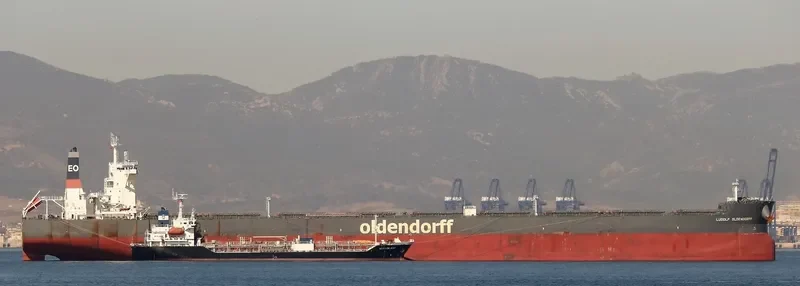 LUDOLF OLDENDORFF Bulk Carrier IMO 9691955 photo 6