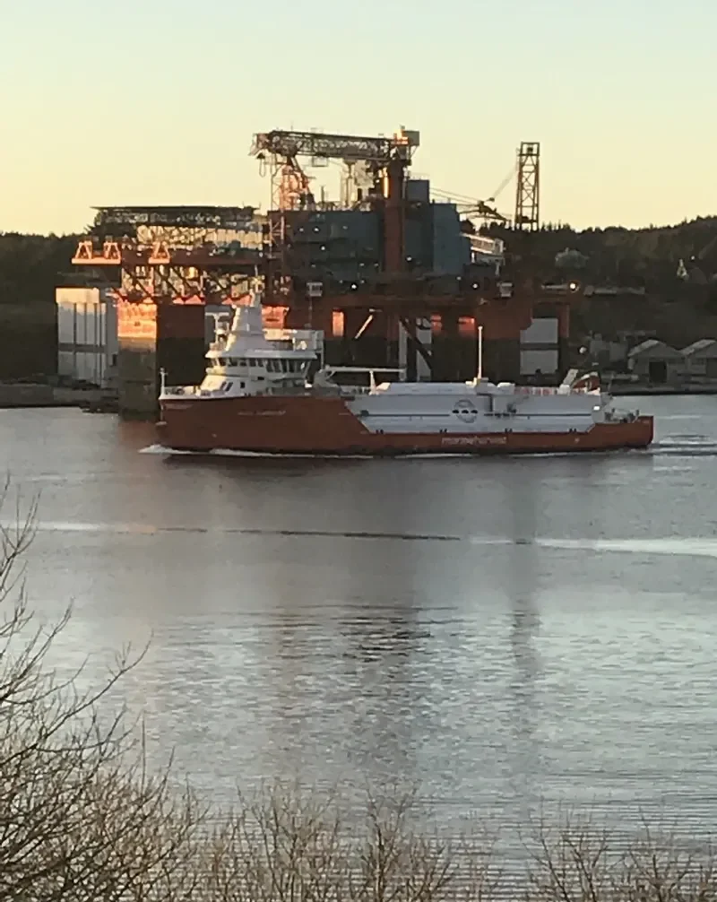 WITH HARVEST General Cargo IMO 9692117 photo 2
