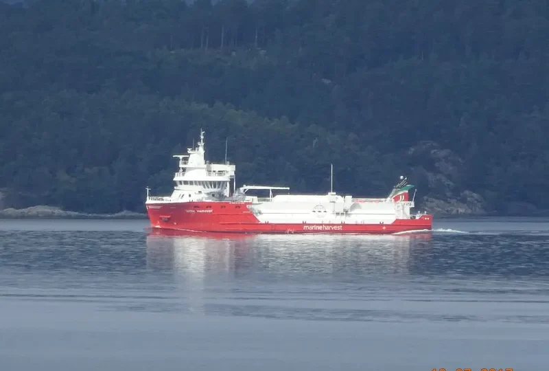 WITH HARVEST General Cargo IMO 9692117 photo 7
