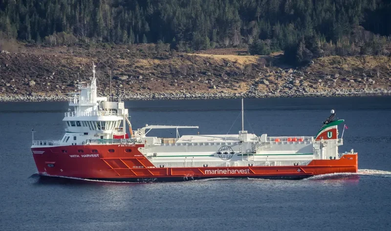 WITH HARVEST General Cargo IMO 9692117 photo 8