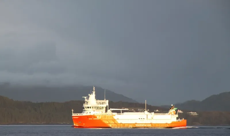 WITH HARVEST General Cargo IMO 9692117 photo 9