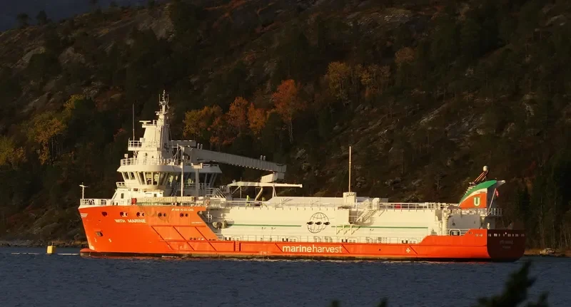 WITH MARINE General Cargo IMO 9692167