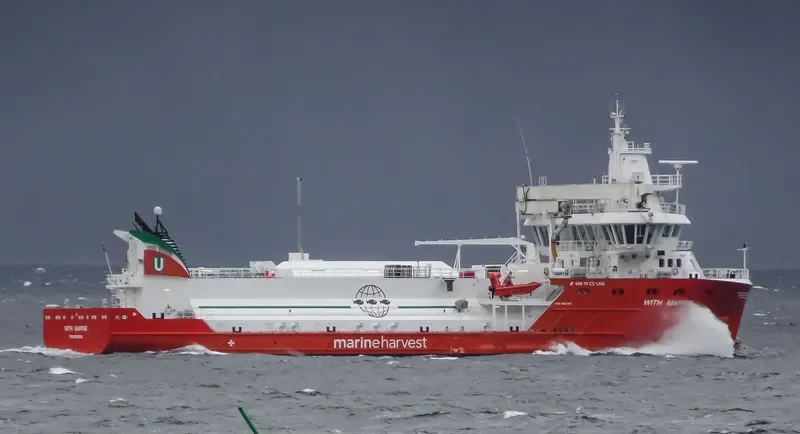 WITH MARINE General Cargo IMO 9692167 photo 2