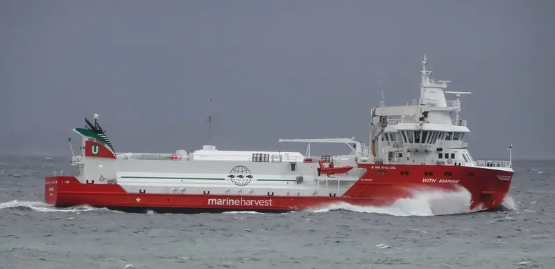 WITH MARINE General Cargo IMO 9692167 photo 3