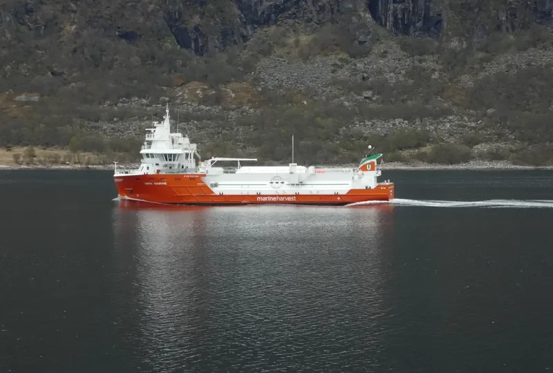 WITH MARINE General Cargo IMO 9692167 photo 4