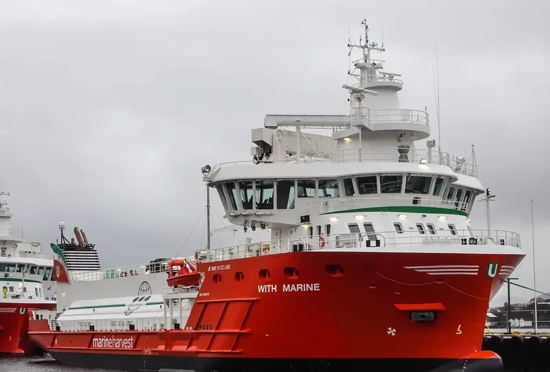 WITH MARINE General Cargo IMO 9692167 photo 5