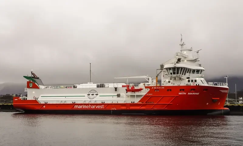 WITH MARINE General Cargo IMO 9692167 photo 6