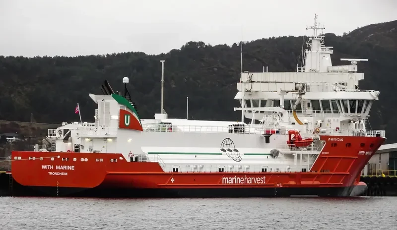 WITH MARINE General Cargo IMO 9692167 photo 7