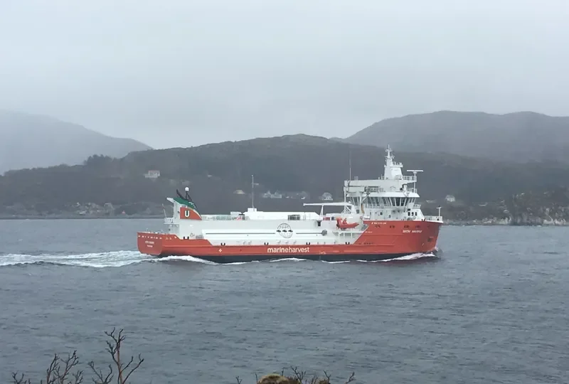 WITH MARINE General Cargo IMO 9692167 photo 8