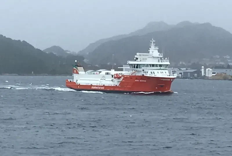 WITH MARINE General Cargo IMO 9692167 photo 9