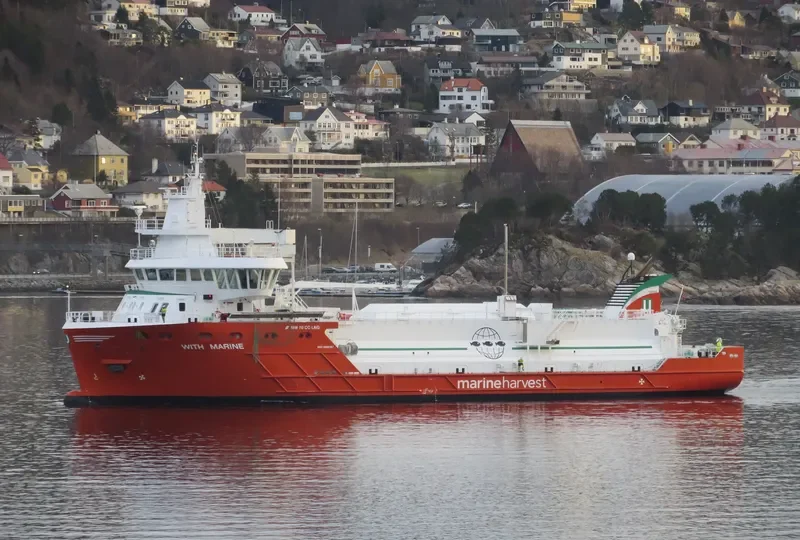 WITH MARINE General Cargo IMO 9692167 photo 10