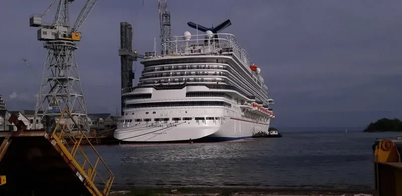 CARNIVAL VISTA Passenger Ship IMO 9692569 photo 9