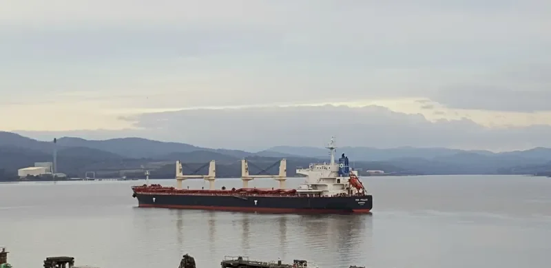VSC POLLUX Bulk Carrier IMO 9692650 photo 3