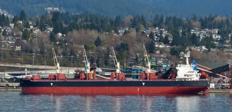 VSC POLLUX Bulk Carrier IMO 9692650 photo 5