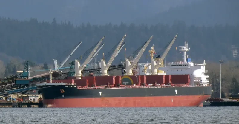 VSC POLLUX Bulk Carrier IMO 9692650 photo 7
