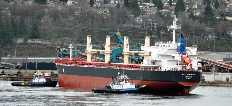 VSC POLLUX Bulk Carrier IMO 9692650 photo 9