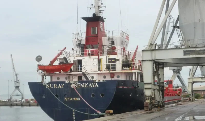 GOLDEN CECILIE Bulk Carrier IMO 9692662