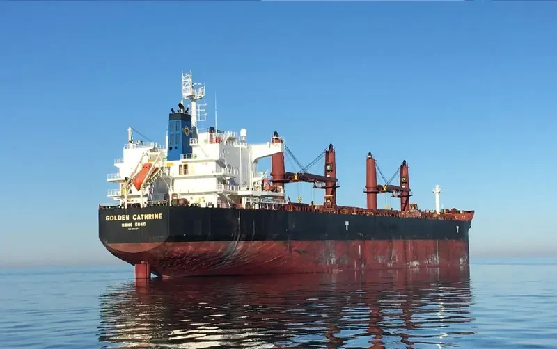 GOLDEN CATHRINE Bulk Carrier IMO 9692674