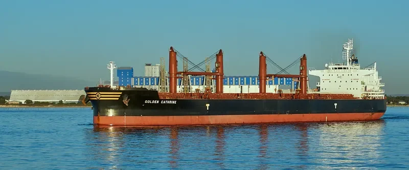 GOLDEN CATHRINE Bulk Carrier IMO 9692674 photo 2