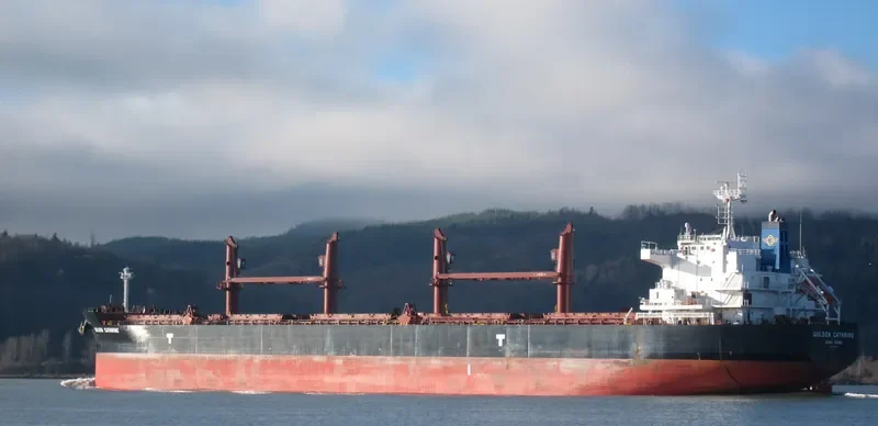 GOLDEN CATHRINE Bulk Carrier IMO 9692674 photo 3
