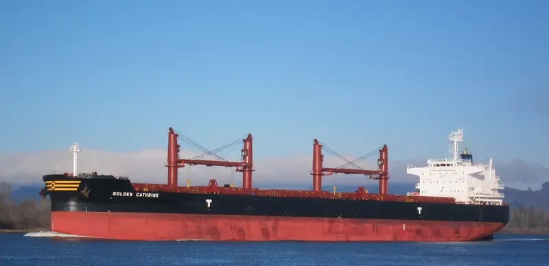 GOLDEN CATHRINE Bulk Carrier IMO 9692674 photo 4