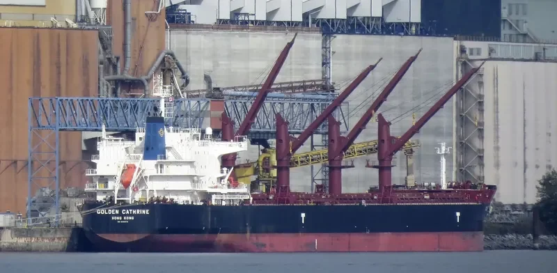 GOLDEN CATHRINE Bulk Carrier IMO 9692674 photo 5
