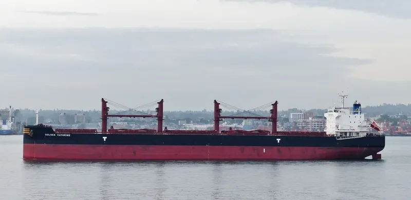 GOLDEN CATHRINE Bulk Carrier IMO 9692674 photo 6